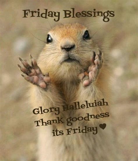 friday blessings images|funny friday blessings images.